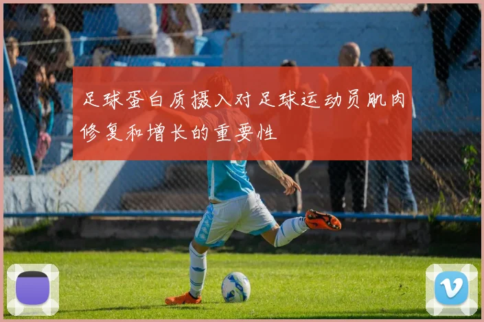 足球蛋白质摄入对足球运动员肌肉修复和增长的重要性