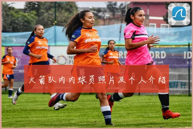 火箭队内内球员照片及个人介绍